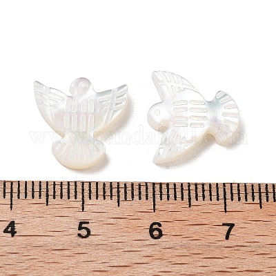 Бусины из натуральных ракушек BSHE-H017-02-1