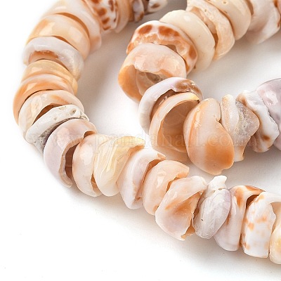 Нити бусин из натуральных ракушек SSHEL-F304-01-1