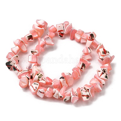 Нити бусин из натуральных трохоидных/трохус ракушек SHEL-B003-02C-1