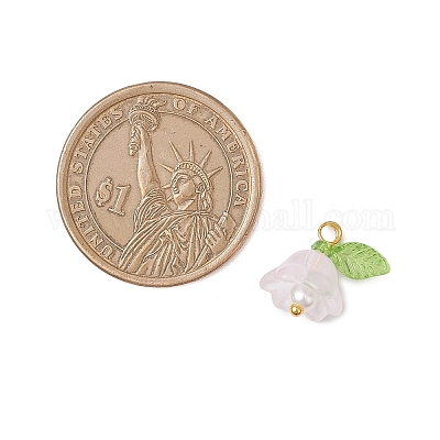 Стеклянные подвески PALLOY-MZ00838-04-1