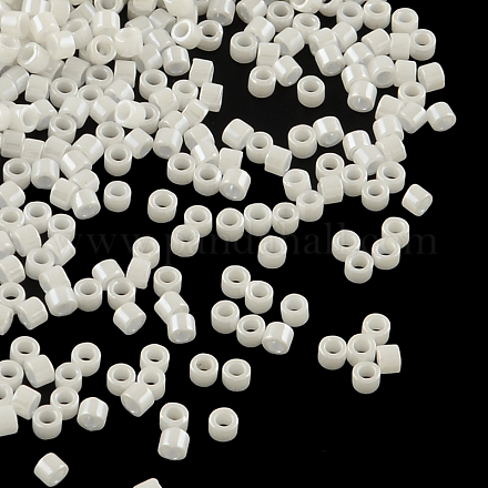 Perles miyuki delica X-SEED-R015-201-1