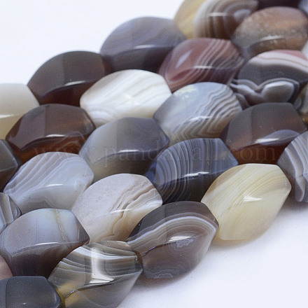 Chapelets de perles en agate naturelle du Botswana G-L478-39A-1