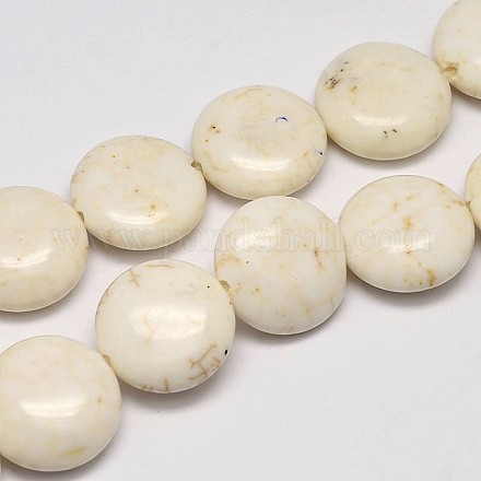 Lentilles brins de perles de magnésite naturelle G-M138-07-1