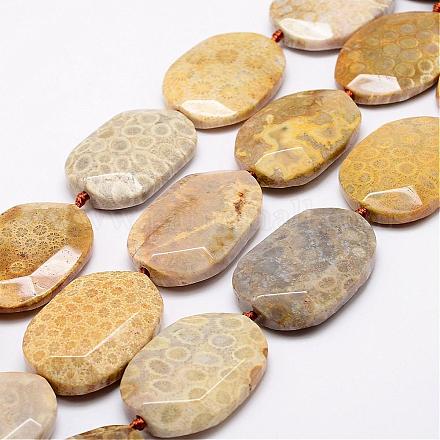 Chapelets de perles en pierre de chrysanthème naturel G-A171-10H-1
