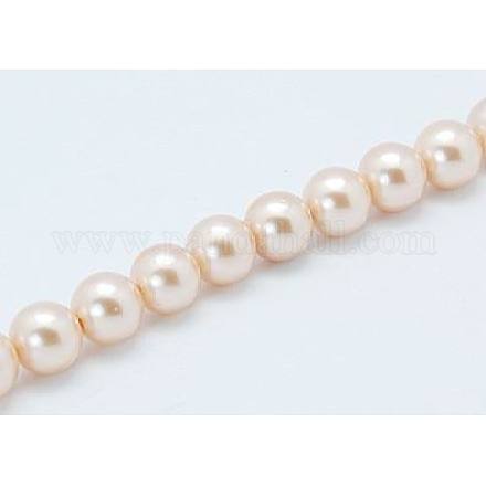 Chapelets de perles de coquille SP8MM218-1