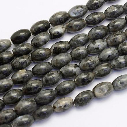 Chapelets de perles en labradorite naturelle  G-G697-G01-8x12mm-1