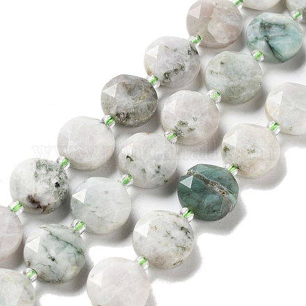 Chapelets de perles en pierre gemme naturelle G-NH0004-017-1
