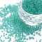 DIY Nail Art Decoration Mini Glass Beads, Tiny Caviar Nail Beads, AB Color Plated, Round, No Hole, Medium Turquoise, 2mm, about 450g/bag