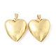 Подвески сердце латуни KK-M327-04A-G-1