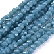 Glass Beads Strands EGLA-J149-B05-1