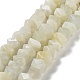 Natürlichen weißen Mondstein Perlen Stränge G-D091-A11-1