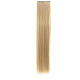 女性の女の子のためのヘアエクステンションの女性の長いストレートクリップ  高温繊維  人工毛  ゴールド  21.65インチ（55cm） OHAR-E018-01D-2