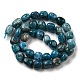 Natural Apatite Beads Strands G-C038-02A-03-3