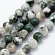 Chapelets de perles en agate d'arbre naturelle X-G-I199-03-6mm-1