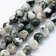 Chapelets de perles en agate d'arbre naturelle, ronde, 4mm, Trou: 1mm, Environ 95 pcs/chapelet, 14.76 pouce (37.5 cm)