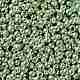 Toho perline rotonde X-SEED-TR08-PF0560-2