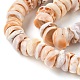 Нити бусин из натуральных ракушек SSHEL-F304-01-4