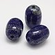 Natural Lapis Lazuli Beads G-G430-05-1