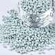 Glass Seed Beads SEED-S060-A-F408-1