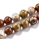 Chapelets de perles en bois pétrifié naturel G-O199-06D-1