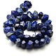 Natural Lapis Lazuli Nuggets Bead Strands G-E251-03-3