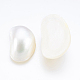 Natural White Shell Mother of Pearl Shell Cabochons SSHEL-P014-01B-2