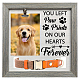 MDF Pet Photo Frames DIY-WH0525-002-1