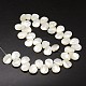 Chapelets de perles de coquille de trochid / trochus coquille SSHEL-K009-08-2