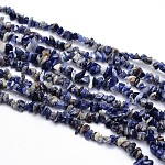 Natural Sodalite Chips Beads Strands, 3~5x3~5mm, Hole: 1mm, about 31.5 inch