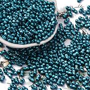 Выпечка краска стеклянные бусины SEED-L011-12A-08