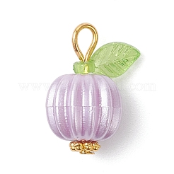 Непрозрачные акриловые подвески PALLOY-JF04473