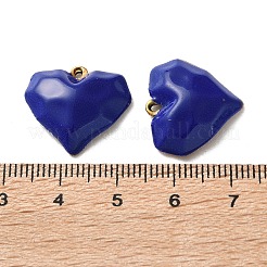 Подвески из нержавеющей стали 304 с эмалью&nbsp;STAS-R164-01G