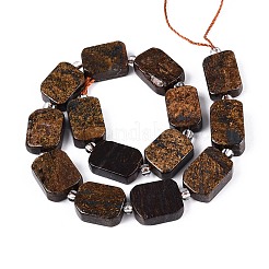 Природные бронзитом бисер нитей G-C098-A39-01