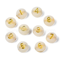 Светящиеся акриловые бусины&nbsp;MACR-S273-66