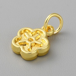 Aluminium Anhänger & Charms&nbsp;FIND-WH0159-63G-30
