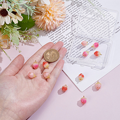 12 шт. 3-х цветные непрозрачные акриловые подвески&nbsp;MACR-UN0001-02