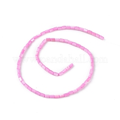 Натуральные пресноводные окрашенные бусы из ракушек&nbsp;SHEL-M018-12-10