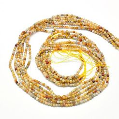 Натуральные сумасшедшие кружевные агатовые бусины G-J002-03J