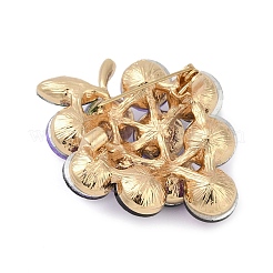 Broches en alliage de zinc et strass en forme de fruits pour vêtements et sac à dos&nbsp;JEWB-R068-02D-G