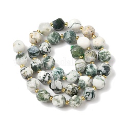 Натурального дерева агат бисер нитей G-U023-A15-01