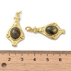 Природные подвески лабрадорита&nbsp;G-C096-03G-01