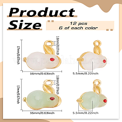 12шт 2 цвета сплава эмалевые подвески&nbsp;FIND-LP0002-70