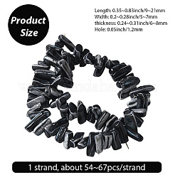 1 нить окрашенных натуральных бусин из ракушек трохус SSHEL-PA0001-01C