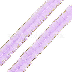 10 m doppellagiges Polyester-Spitzenband&nbsp;OCOR-TA0004-14I