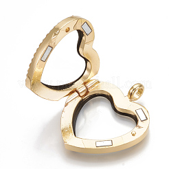 Сплав магнитные подвески медальон PALLOY-T052-11G