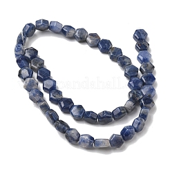 Natur Sodalith Perlen Stränge&nbsp;G-G463-A10-8x9mm