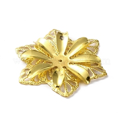 Железный шарик крышки IFIN-C060-10G