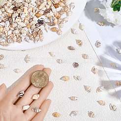 Подвески из натуральной ракушки 165 г&nbsp;SHEL-PA0001-05