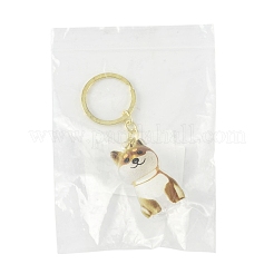 Schlüsselanhänger aus Eisenplastik&nbsp;KEYC-FZC0001-001C-G