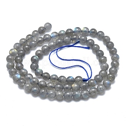 Natur Labradorit Perlen Stränge&nbsp;X-G-O186-E01-4mm